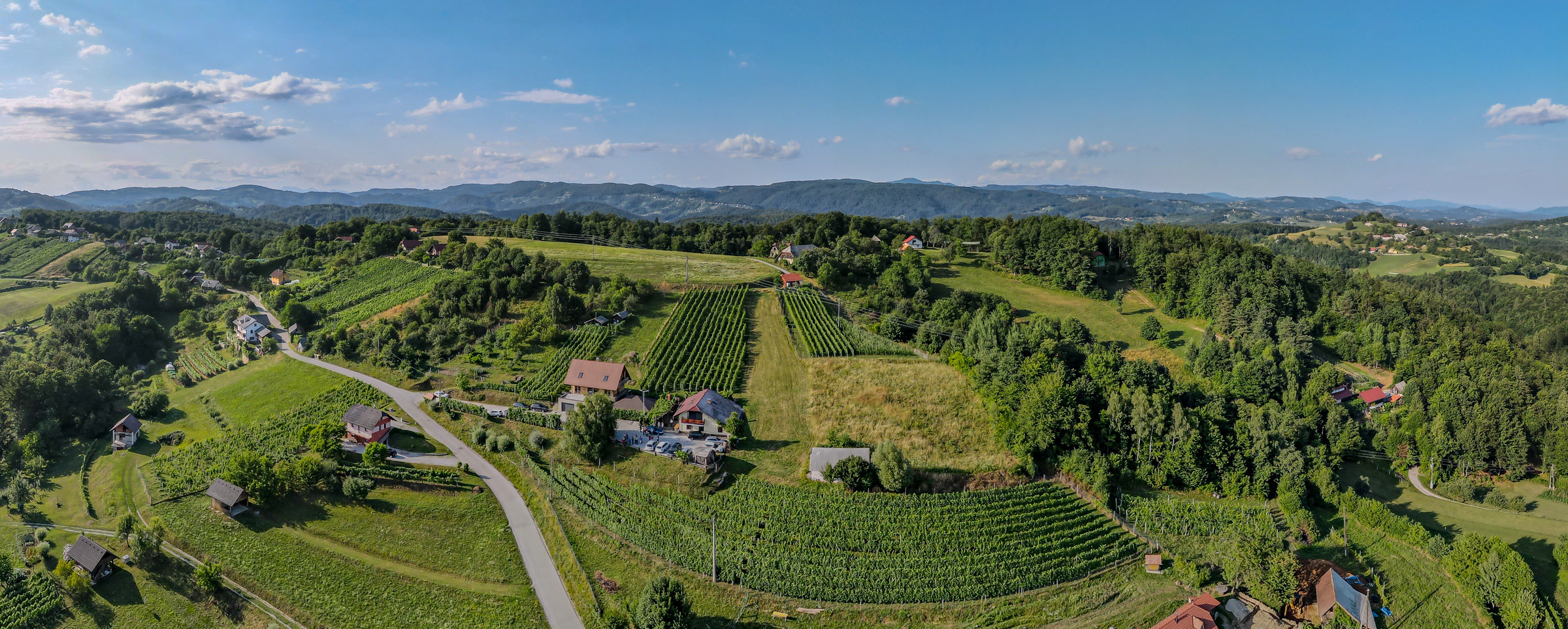 Pogled iz zraka na dolenjske griče in zidanice